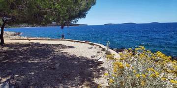 Thumbnail von Huis aan de eerste rij aan zee