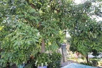 Thumbnail von villa for sale in - Alhaurin de la Torre