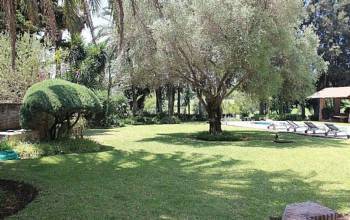 Thumbnail von villa for sale in - Aloha