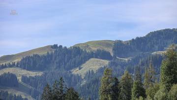 Thumbnail von Großzügige Wohnung in ruhiger Zentrumslage