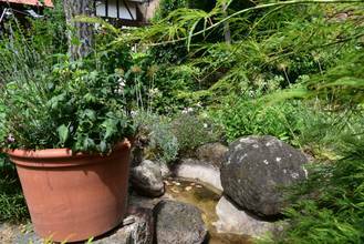 Thumbnail von Kleinod in bestem Sinne: Hofreite mit 2 Wohnhäusern, Garten & Nebengebäuden. Wunderschön!