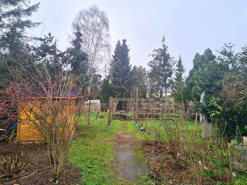 Baugrund für EFH in gewachsener Schmöckwitzer Wohnlage