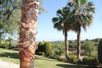 Thumbnail von villa for sale in - Marbella