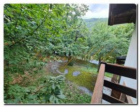 Thumbnail von Immogold freistehendes Haus im Kastanienhain