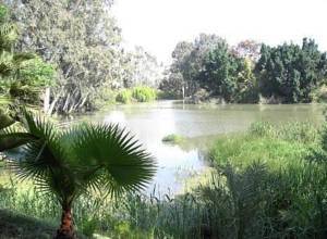 Thumbnail von villa for sale in - Nueva Andalucia