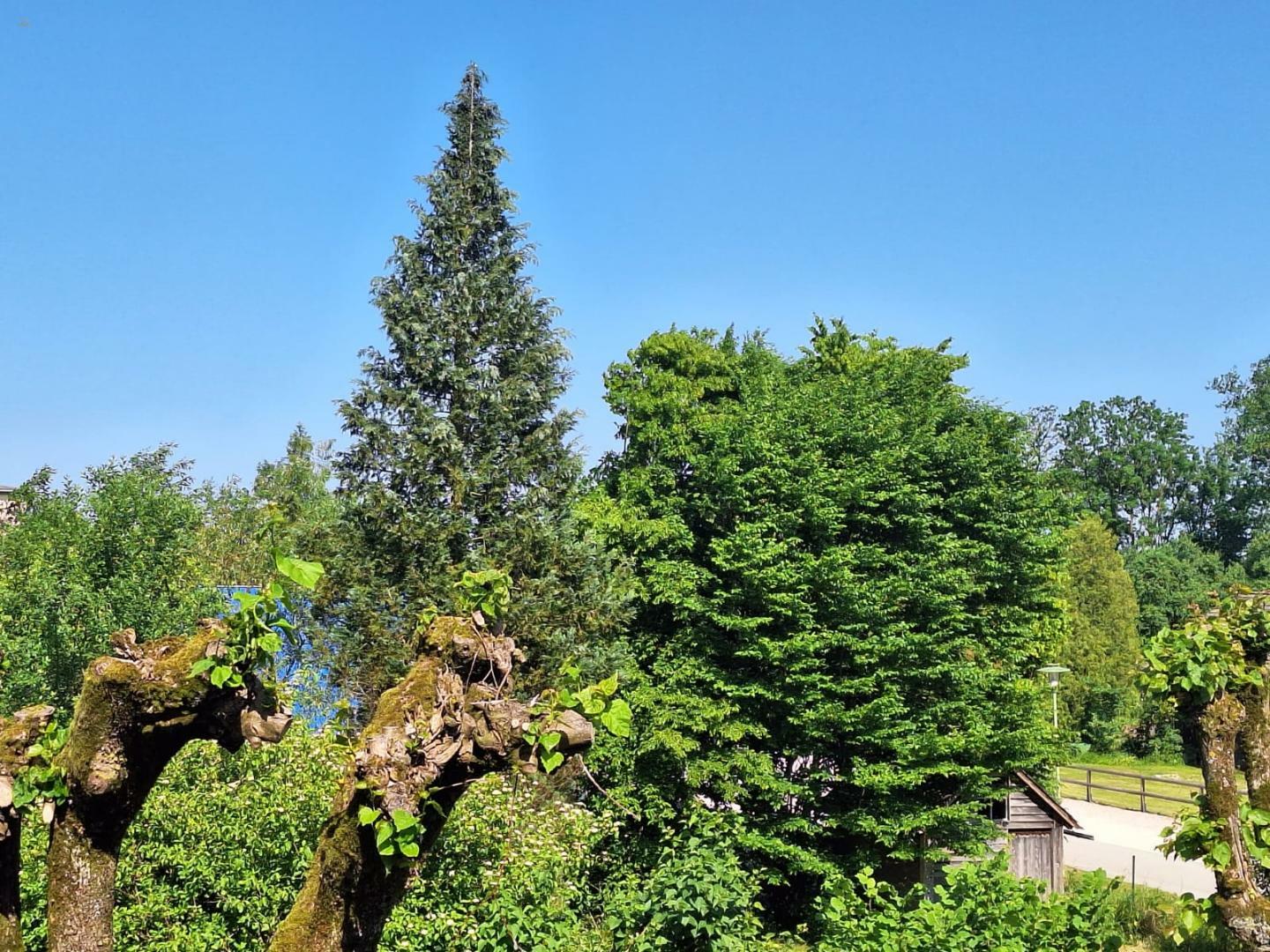 Thumbnail von KAUFEN satt MIETEN