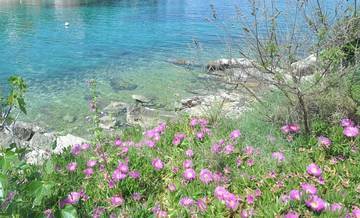 Thumbnail von Insel Solta: Villa im mediterranen Stil mit Pool in der 1. Reihe zum Meer