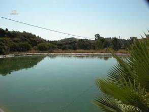 Thumbnail von villa for sale in - Mijas Costa