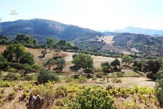 Thumbnail von villa for sale in - Ronda
