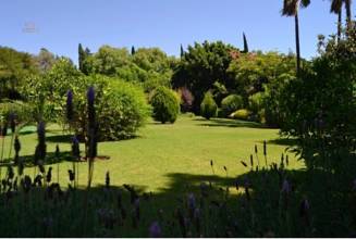 Thumbnail von villa for sale in - Puerto Banus