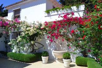 Thumbnail von villa for sale in - Puerto Banus