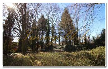 Thumbnail von Immogold ehemaliges Klosteranwesen mit zwei Klöstern zu renovieren