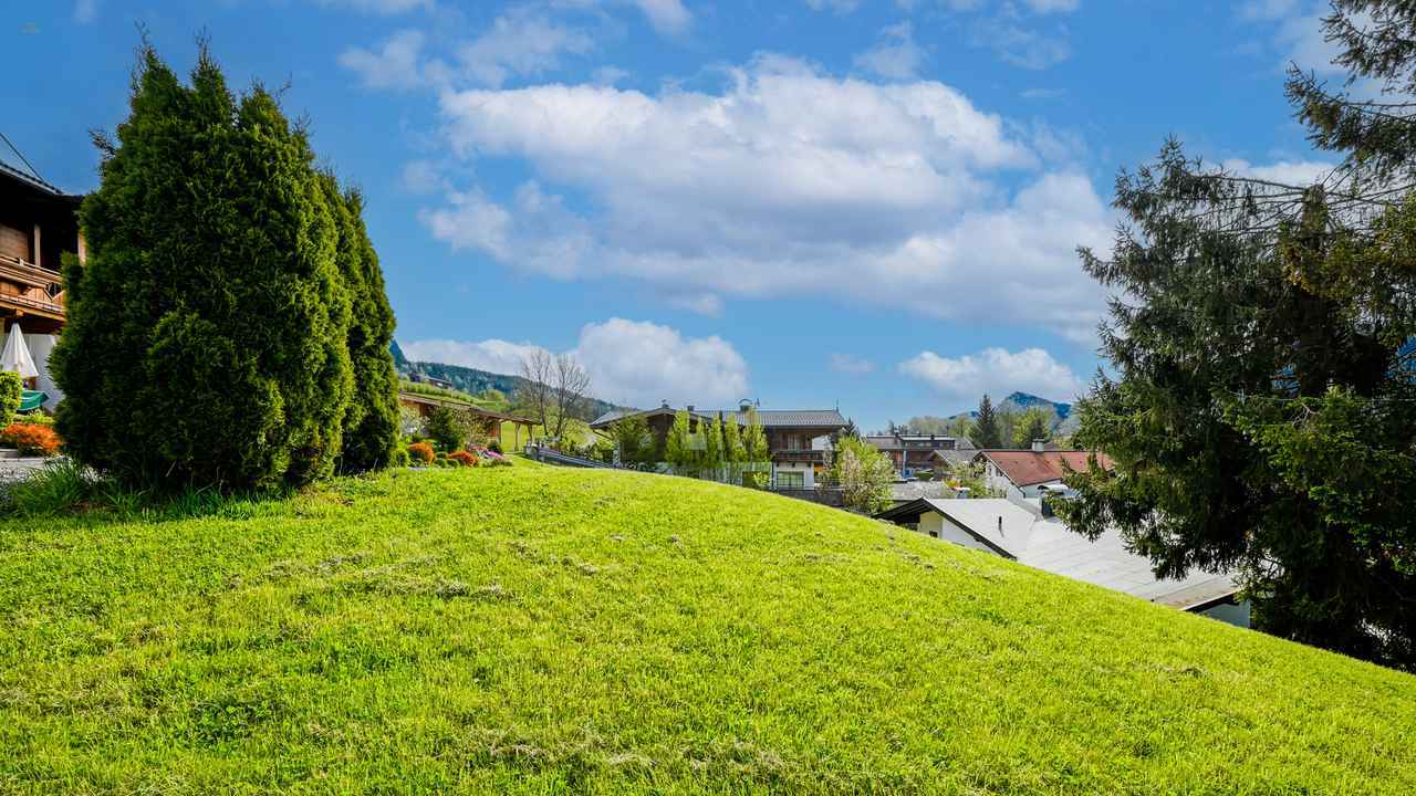 Vacant land in sunny peaceful location