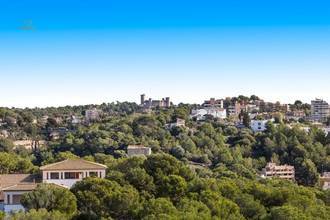 Thumbnail von Penthouse mit außergewöhnlichem Meerblick