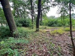 Thumbnail von Baugrundstück für EFH fußläufig dem Lehnitzsee