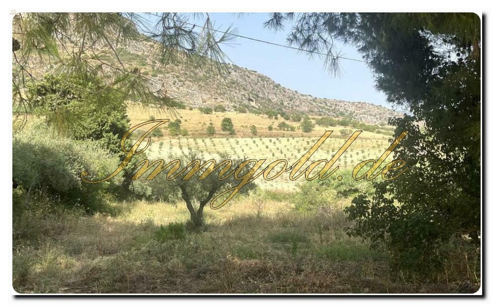 Thumbnail von Ferienanlage mit riesigem Grundstück nahe Caltabellotta