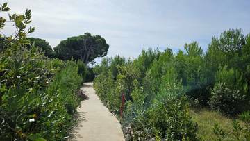 Thumbnail von Moderne Neubau-Appartements mit Meerblick