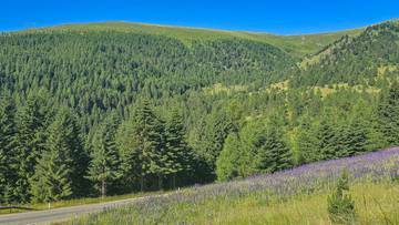 Thumbnail von ALM-CHALET 3 - Freizeitwohnsitz in Toplage