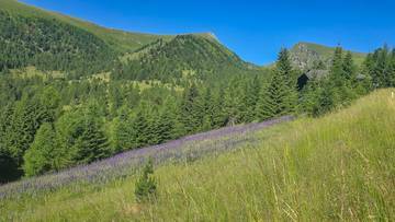 Thumbnail von ALM-CHALET 6 - Freizeitwohnsitz in Toplage