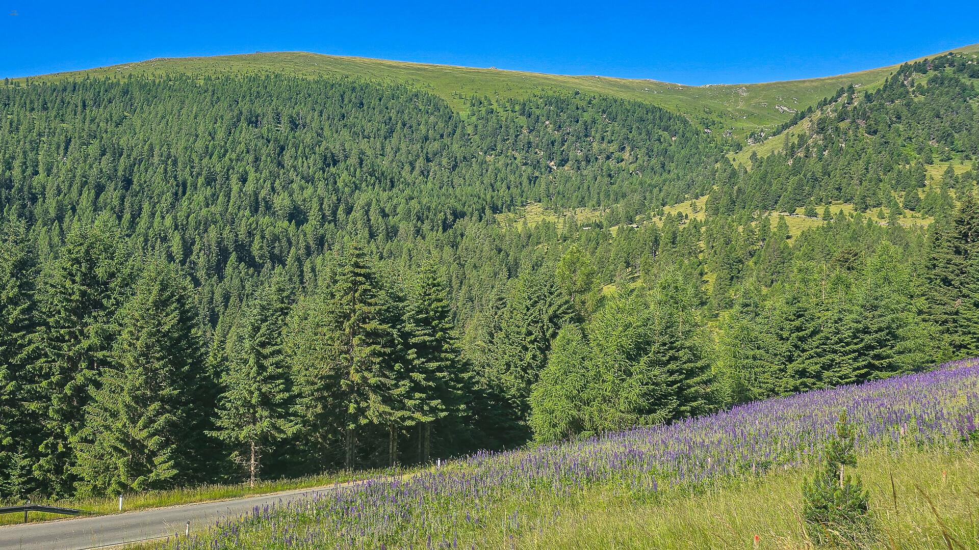Thumbnail von ALM-CHALET 7 - Freizeitwohnsitz in Toplage