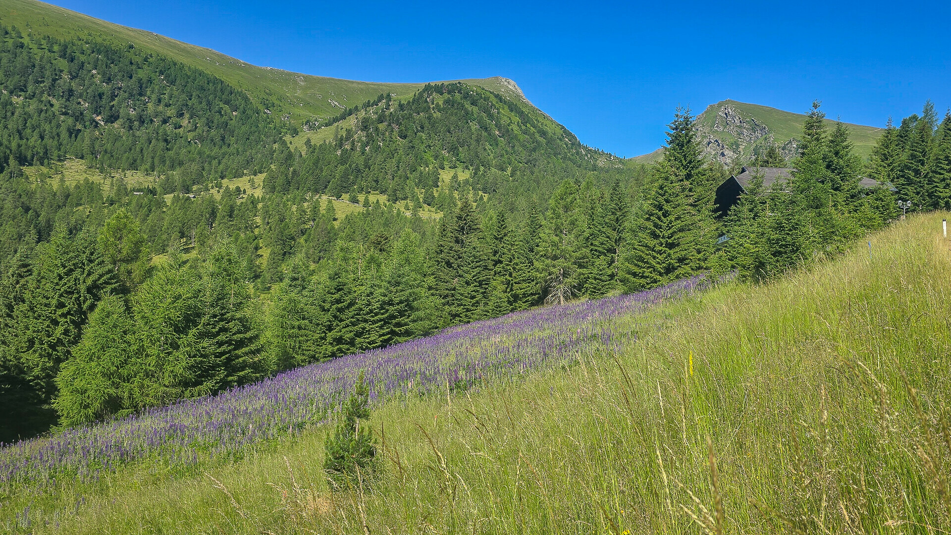 Thumbnail von ALM-CHALET 9 - Freizeitwohnsitz in Toplage