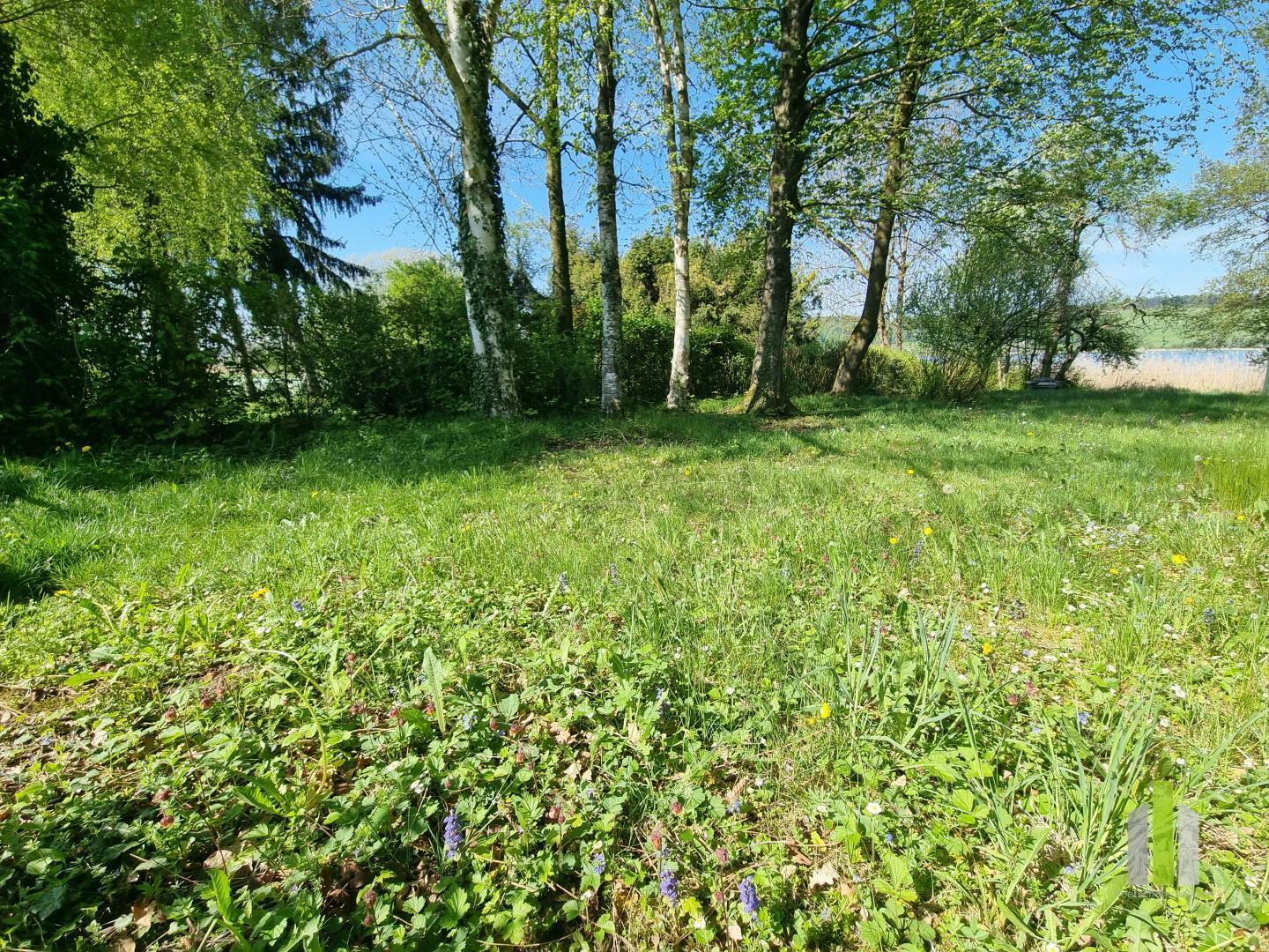 Thumbnail von Traumhaftes Badegrundstück am Ostufer des Obertrumer Sees mit Steg!