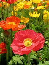 Thumbnail von Eigentumswohnung Nr. 7158.1
Belletage mit Balkon