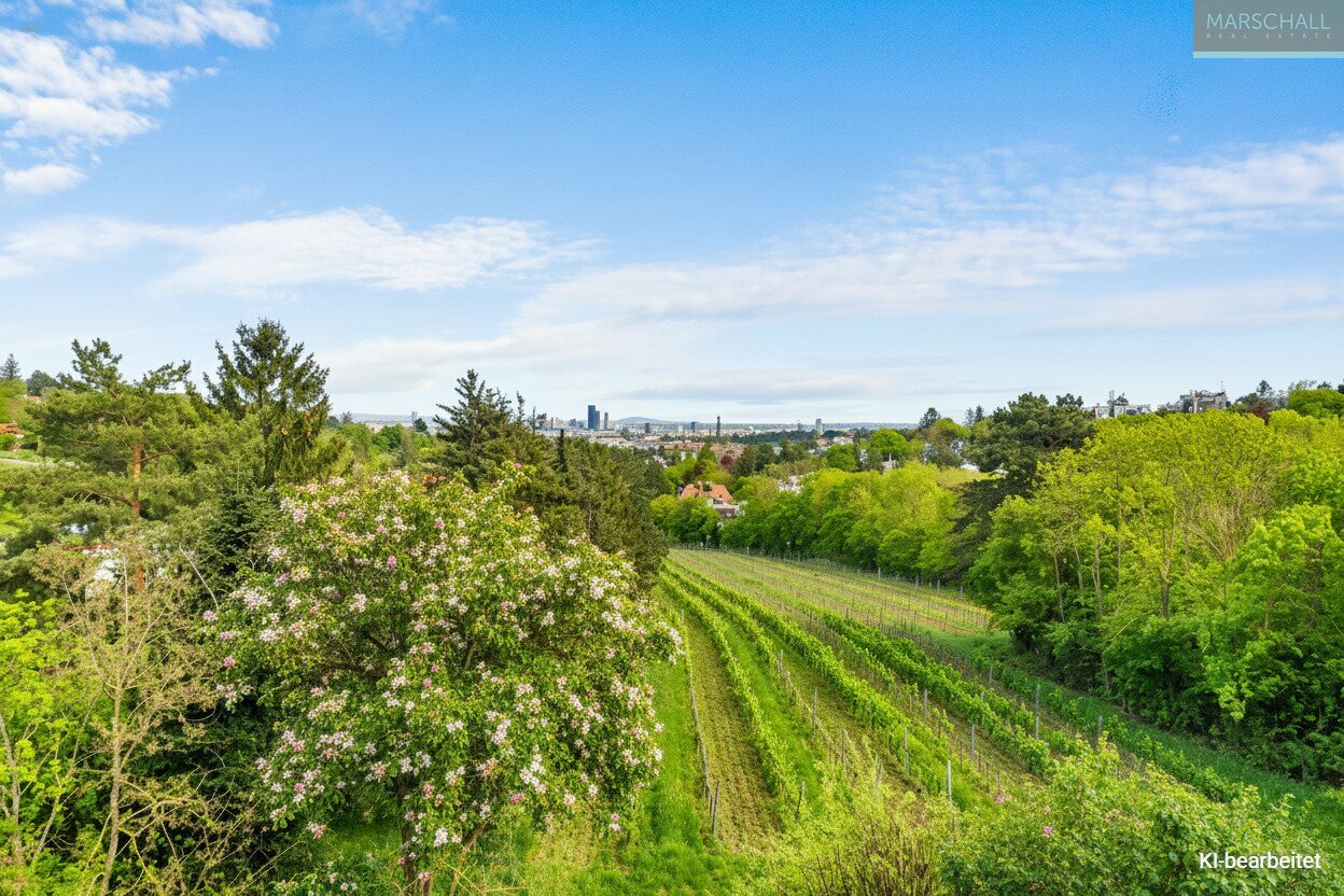 Traumhafte Terrassenwohnung in nobler Grünruhelage direkt beim Weingarten
