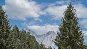 Thumbnail von Mehrfamilienhaus mit FREIZEITWOHNSITZWIDMUNG