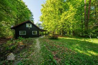 Thumbnail von Exklusives Badeparadies am Wörthersee: Ihr privates Refugium mit Seezugang und Waldidylle