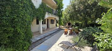 Thumbnail von Haus in ruhiger Lage mit schönem Meerblick