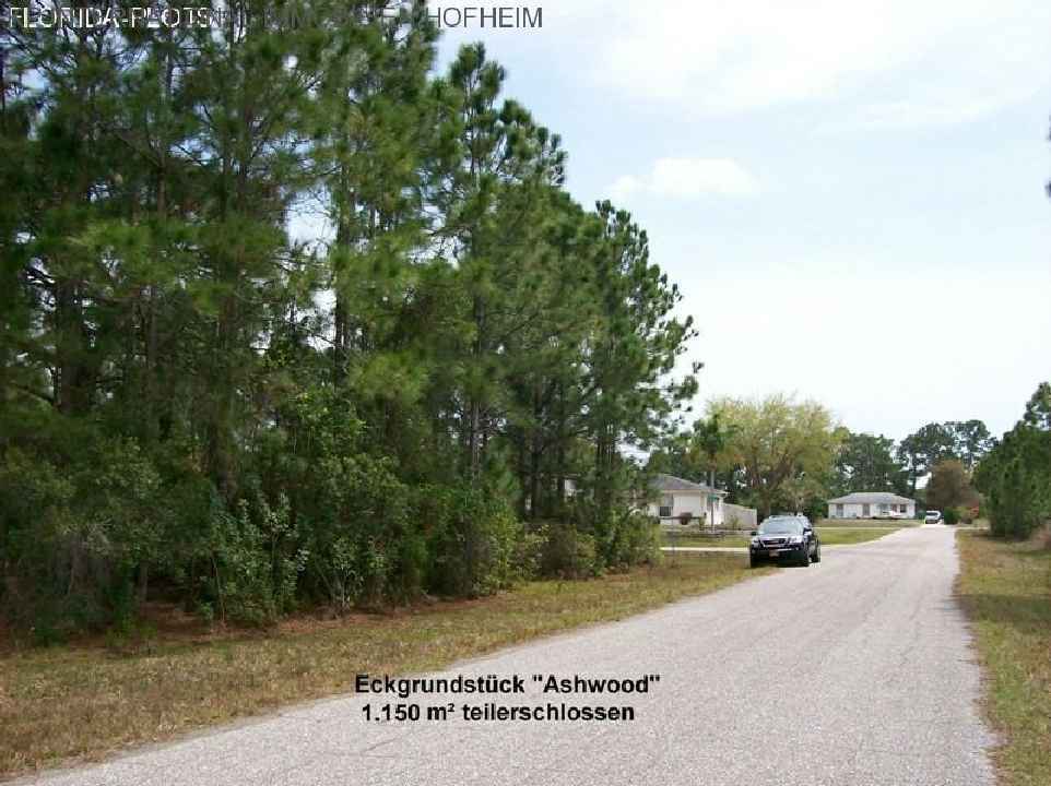 ***Grote bouwgrond nabij het strand - Florida ***