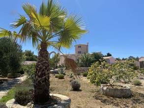 Thumbnail von Mediterranes Anwesen mit wunderschönem Meerblick, Insel Silba