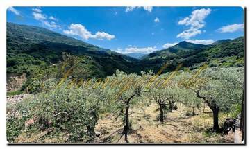 Thumbnail von Immogold Sizilien SGS 25093 schnuckeliges, Anwesen im Nebrodi Park