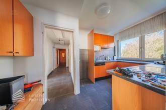 Thumbnail von Großzügiges Familienrefugium in absoluter Ruhelage – charmantes Wohnhaus auf 1.000 m² Traumgrundstück in 1220 Wien