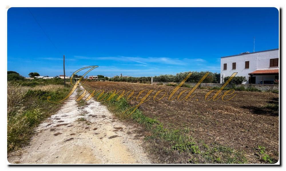 Thumbnail von Immogold Sizilien SGS 25123 Tolles Areal inklusive eines Olivenhains und Rustuico