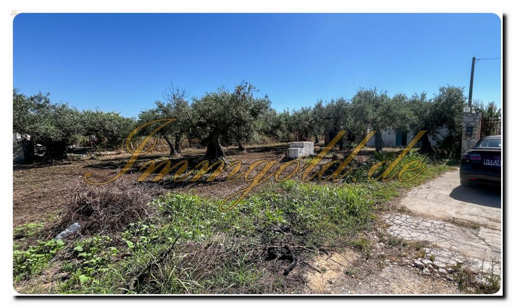 Thumbnail von Immogold Sizilien SGS 25123 Tolles Areal inklusive eines Olivenhains und Rustuico