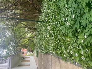 Thumbnail von Modernes Mehrgenerationenhaus in Top-Lage: Wohnen, Arbeiten und Investieren im Zentrum von Bad Tölz