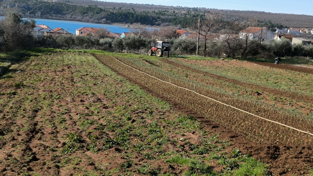 Thumbnail von Baugrund mit Meerblick