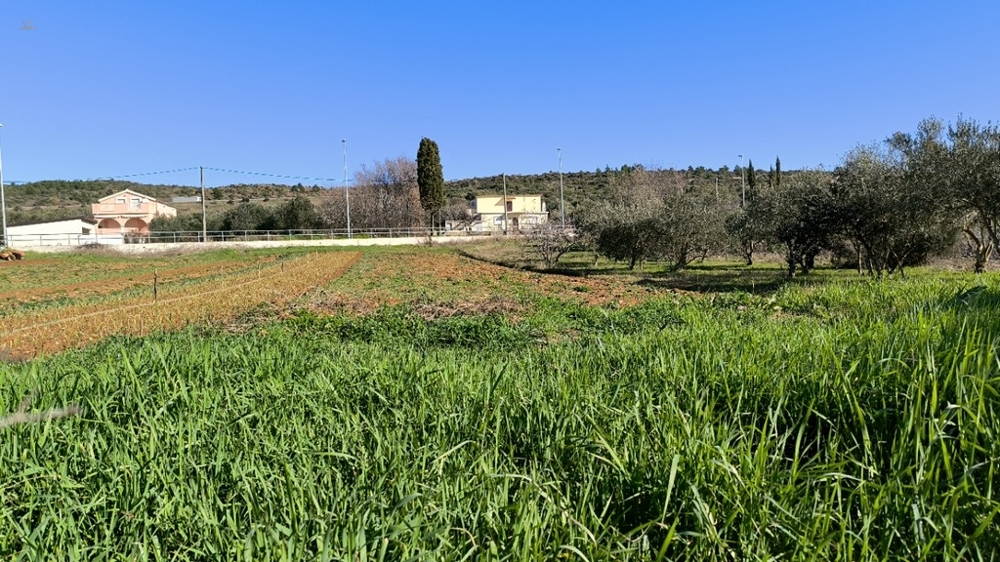 Thumbnail von Baugrund mit Meerblick