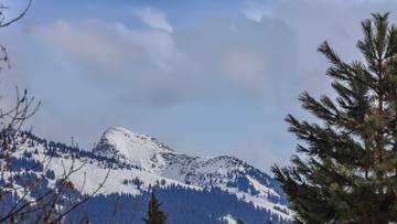 Thumbnail von Dachgeschosswohnung mit Turmzimmer und Panorama-Ausblick