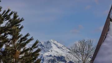 Thumbnail von Dachgeschosswohnung mit Turmzimmer und Panorama-Ausblick