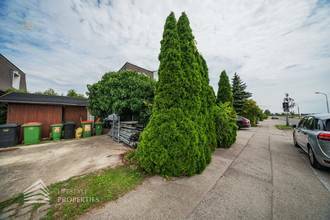 Thumbnail von Elegantes Eckreihenhaus  in Leopoldsdorf im Marchfeld