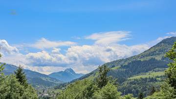 Thumbnail von Weinberg Residenz - Top 4 & 5 (Baustart 2026 KW 15)