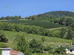 Thumbnail von Wunderschönes Penthouse mit Pool und prachtvollem Blick, Nähe Kahlenberg