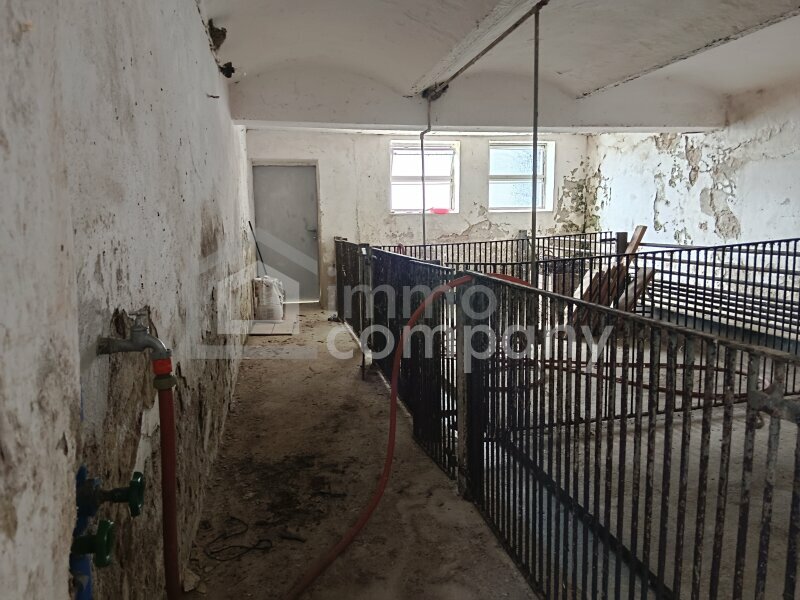 Thumbnail von Bauernhof mit vollmöblierter 4 Zimmer Wohnung eingebettet in die Thermenregion zwischen der Therme Stegersbach und Bad Waltersdorf, ideal für Selbstversorger