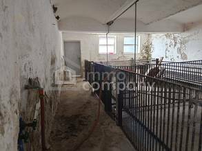 Thumbnail von Bauernhof mit vollmöblierter 4 Zimmer Wohnung eingebettet in die Thermenregion zwischen der Therme Stegersbach und Bad Waltersdorf, ideal für Selbstversorger