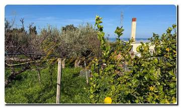Thumbnail von Casa mit tollem Fernblick auf das Meer, Palermo gleich neben an, antike Möbel dürfen nicht fehlen