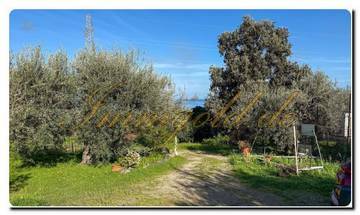Thumbnail von Casa mit tollem Fernblick auf das Meer, Palermo gleich neben an, antike Möbel dürfen nicht fehlen