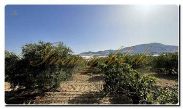 Thumbnail von Immogold Sud-Sicile SGS 26039 Découvrez la beauté tranquille de la Sicile ; propriété de rêve avec jardins méditerranéens et vaste terrain